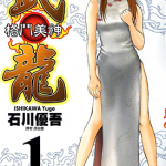 格斗美神武龙 1-18卷 石川优吾 漫画百度网盘下载
