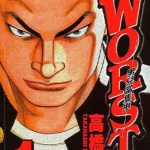热血高校WORST-极恶王月岛花篇合集 高桥弘 漫画百度网盘下载