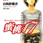 はるか17 1-19卷 柴门文 漫画百度网盘下载