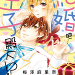 结婚吧…王子殿下!~ 1卷 梅泽麻里奈 漫画百度网盘下载