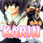 增血鬼果林 增血鬼KARIN 增血小魔女 1-14卷 影崎由那 漫画百度网盘下载