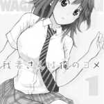 我妻同学是我妻子 1-12卷 西木田景志 漫画百度网盘下载