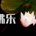 2330首佛乐佛曲佛教高品质mp3音乐下载