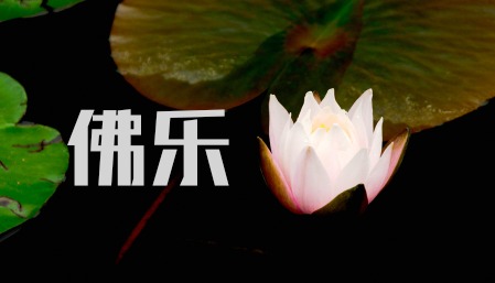 2330首佛乐佛曲佛教高品质mp3音乐下载