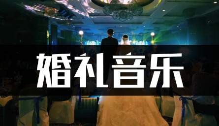 2600首婚礼庆典结婚典礼现场歌曲高品质mp3音乐下载