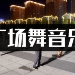 1660首中国大妈广场舞音乐歌曲高品质mp3音乐下载