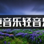 3800首纯音乐轻音乐安静放松mp3音乐下载