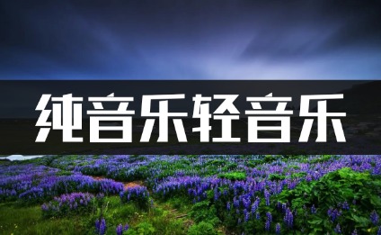 3800首纯音乐轻音乐安静放松mp3音乐下载