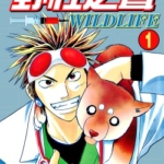 [藤崎圣人][野性之声][全27卷]高清中文版JPG漫画下载